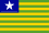 Bandeira do Estado Piauí